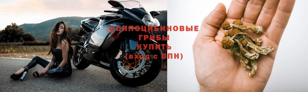 СК Беломорск