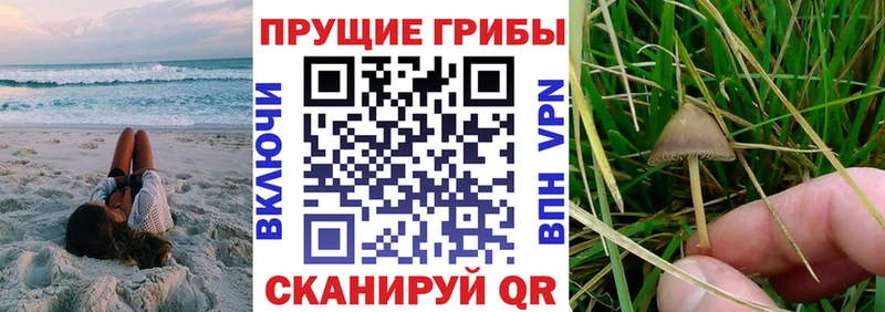 Псилоцибиновые грибы ЛСД  Купить закладки  Островной 